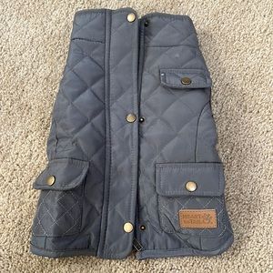 Heart to Tail Dog Coat